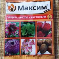 Интернет магазин кактусов и суккулентов кактуспозитив - Максим, Максим дачник, фунгицид